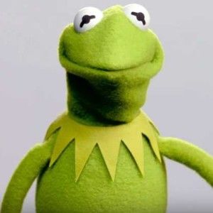 Meet your Posher, Austen